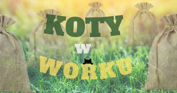 Koty w worku 01.07.2023,  29.07.2023,  26.08.2023,  30.09.2023,  21.10.2023
