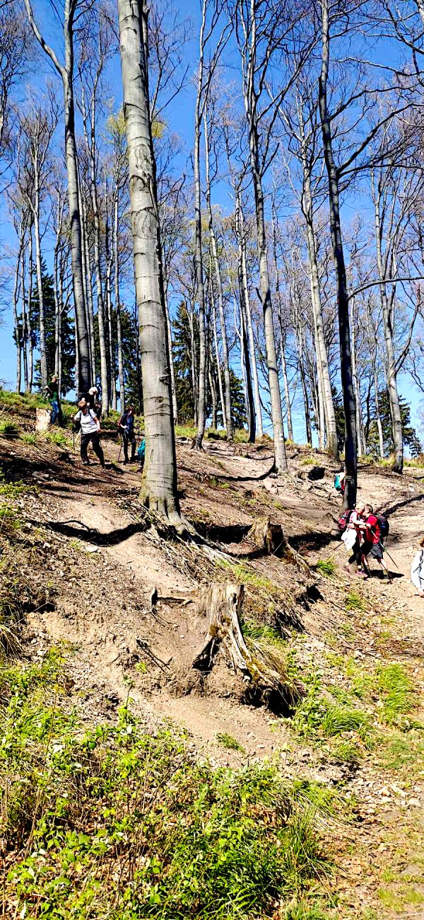 Wycieczka górska „Majówka 2024” 1-5.05.2024 r. - obrazek 36