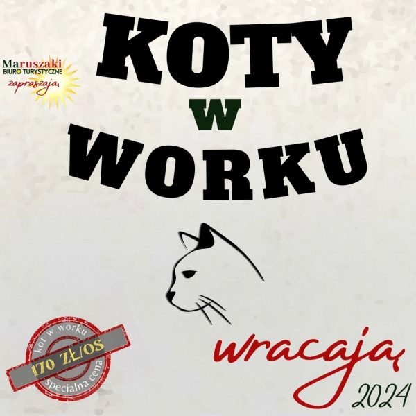 KOTY W WORKU 2024 - obrazek 2