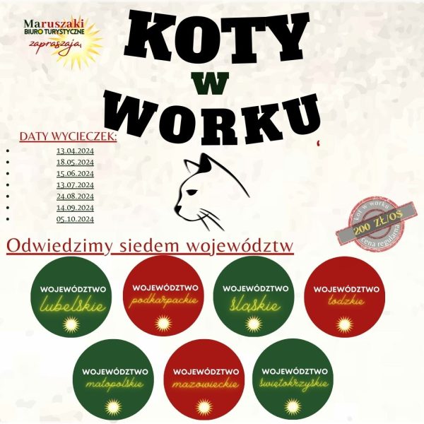 KOTY W WORKU 2024