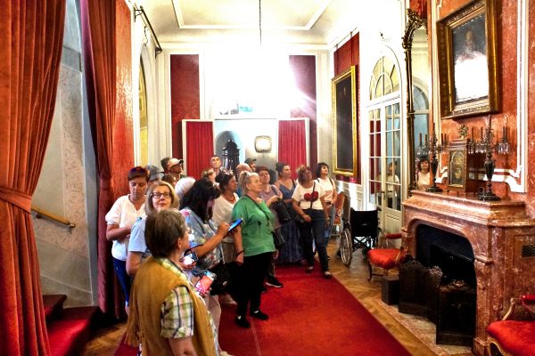 KOT W WORKU NR 3  WOJ. PODKARPACKIE 15.06.2024 - obrazek 2