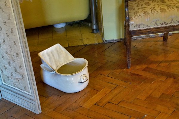 KOT W WORKU NR 3  WOJ. PODKARPACKIE 15.06.2024 - obrazek 6