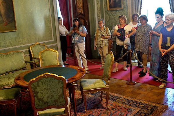 KOT W WORKU NR 3  WOJ. PODKARPACKIE 15.06.2024 - obrazek 7