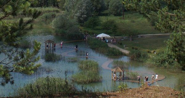 KOT W WORKU NR 4  13.07.2024 - obrazek 13