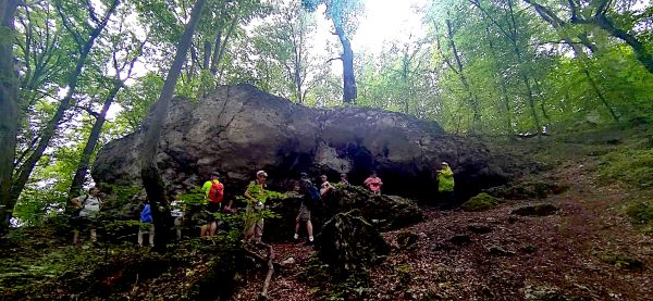 JURA KRAKOWSKO - CZĘSTOCHOWSKA  7.07.2024 - obrazek 7