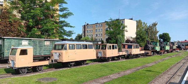 KOT W WORKU NR 5  24.08.2024 WOJ. MAZOWIECKIE - obrazek 4
