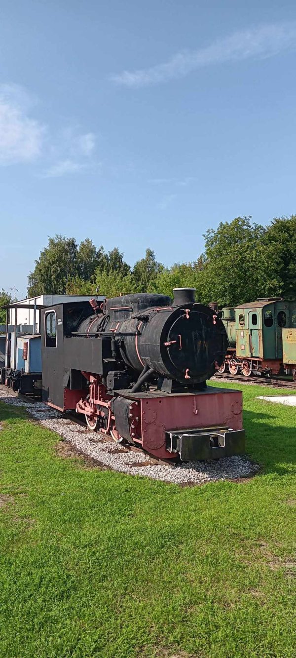 KOT W WORKU NR 5  24.08.2024 WOJ. MAZOWIECKIE - obrazek 6