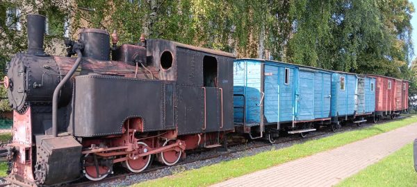 KOT W WORKU NR 5  24.08.2024 WOJ. MAZOWIECKIE - obrazek 7