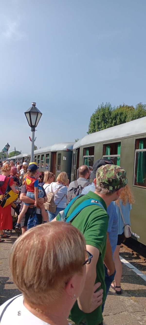 KOT W WORKU NR 5  24.08.2024 WOJ. MAZOWIECKIE - obrazek 11