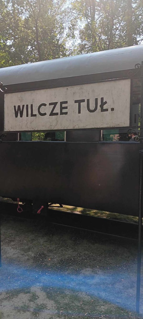 KOT W WORKU NR 5  24.08.2024 WOJ. MAZOWIECKIE - obrazek 13