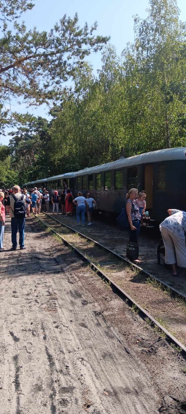 KOT W WORKU NR 5  24.08.2024 WOJ. MAZOWIECKIE - obrazek 14