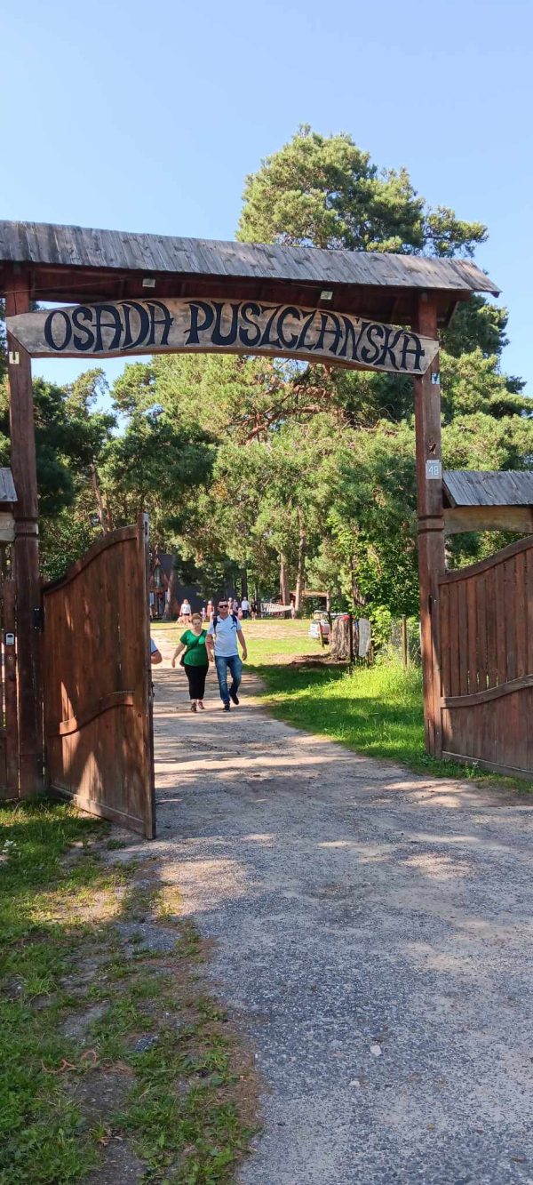 KOT W WORKU NR 5  24.08.2024 WOJ. MAZOWIECKIE - obrazek 16