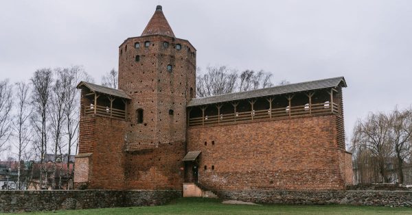 KOT W WORKU NR 6 14.09.2024 WOJ. ŁÓDZKIE - obrazek 3