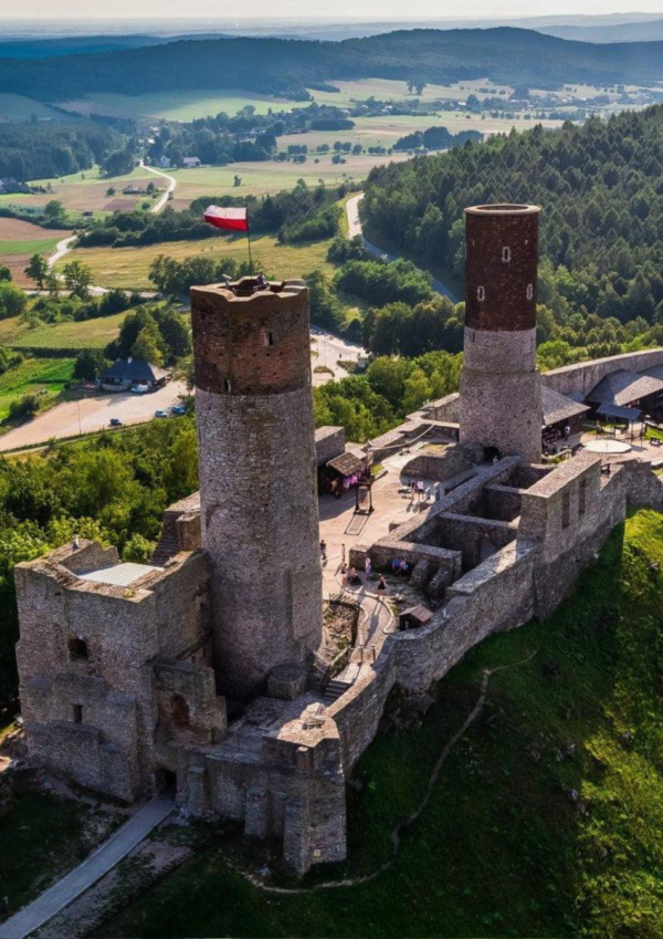 KOT W WORKU NR 7  5.10.2024 WOJ. ŚWIĘTOKRZYSKIE - obrazek 2