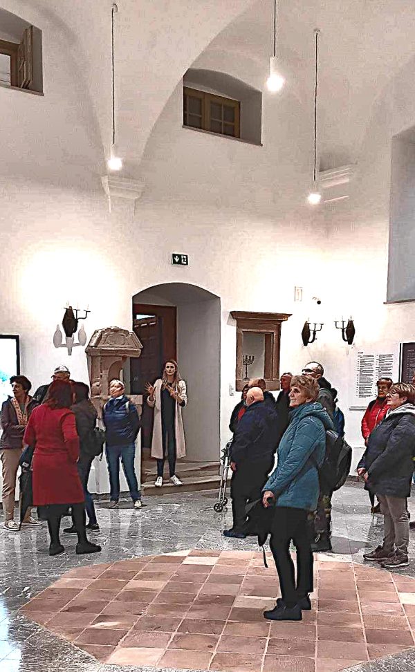 KOT W WORKU NR 7  5.10.2024 WOJ. ŚWIĘTOKRZYSKIE - obrazek 4