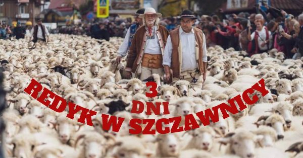 REDYK W SZCZAWNICY 11-13.10.2024 wycieczka 3 - dniowa - obrazek 2