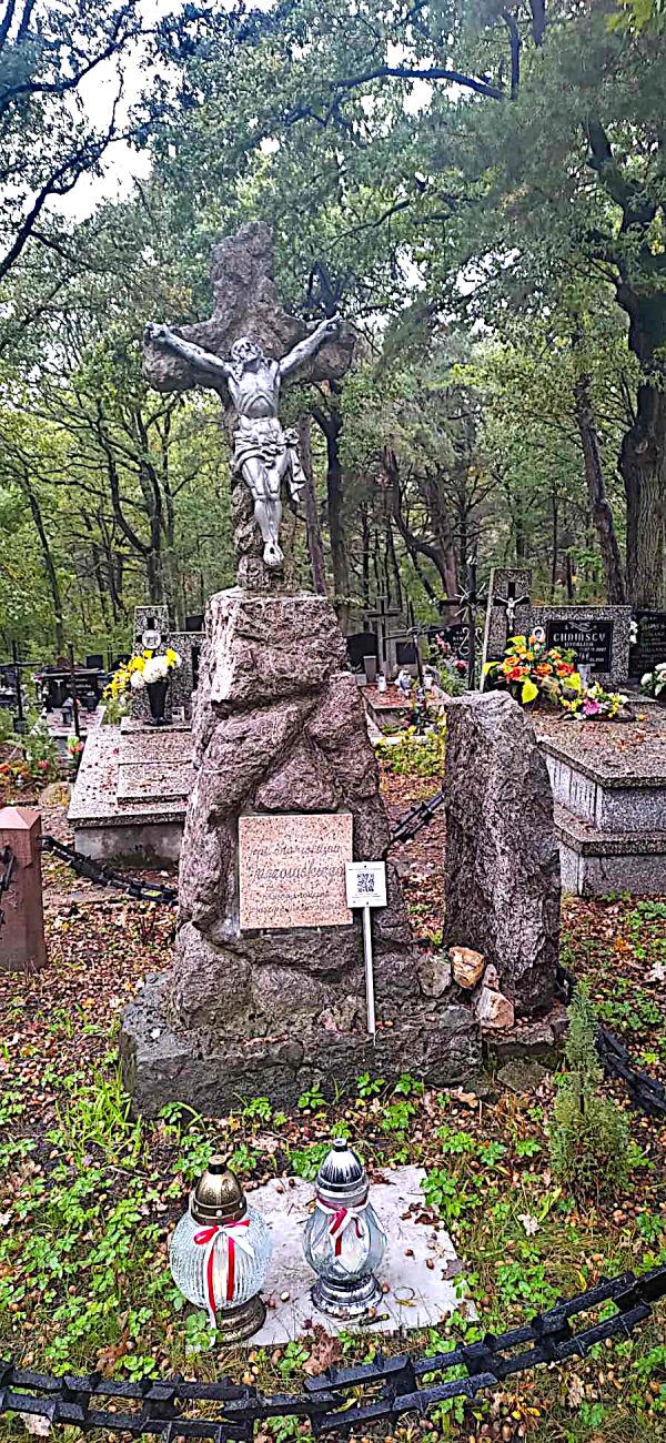 KOT W WORKU NR 7  5.10.2024 WOJ. ŚWIĘTOKRZYSKIE - obrazek 7