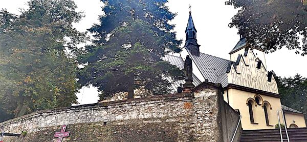 KOT W WORKU NR 7  5.10.2024 WOJ. ŚWIĘTOKRZYSKIE - obrazek 9