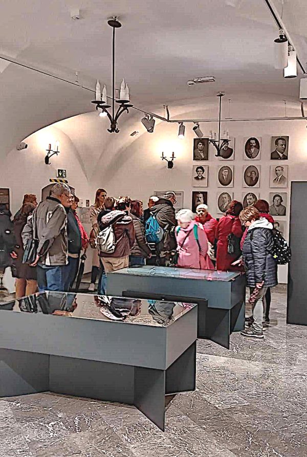 KOT W WORKU NR 7  5.10.2024 WOJ. ŚWIĘTOKRZYSKIE - obrazek 5