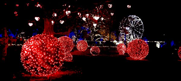 WIEDEŃ - WYJAZD NA JARMARK BOŻONARODZENIOWY 14.12.2024 - obrazek 32