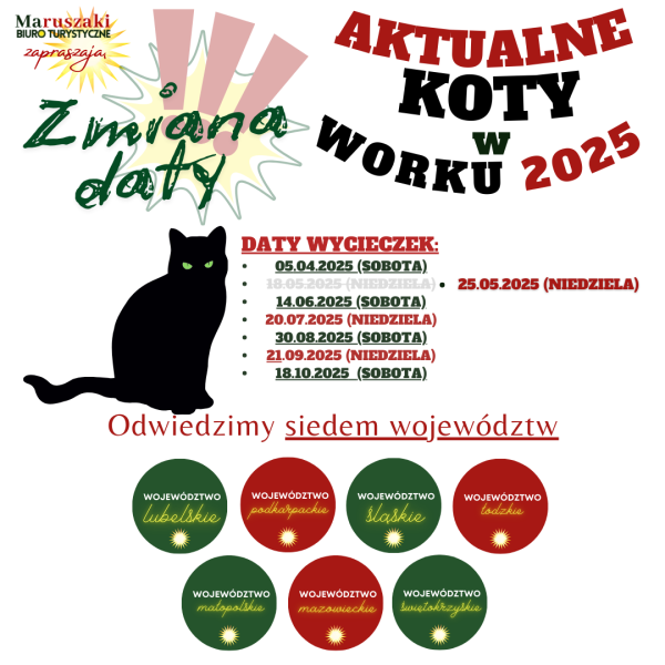 KOTY W WORKU 2025