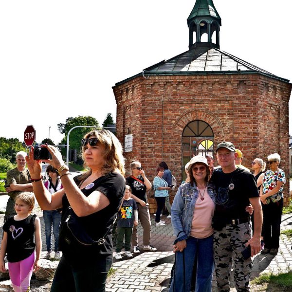 KOT W WORKU NR 3 WOJEWÓDZTWO ŚLĄSKIE - obrazek 4