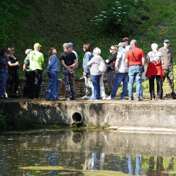 KOT W WORKU NR 3 WOJEWÓDZTWO ŚLĄSKIE - obrazek 12