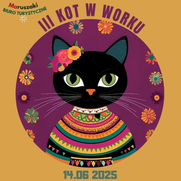 KOT W WORKU NR 3 WOJEWÓDZTWO ŚLĄSKIE - obrazek 2