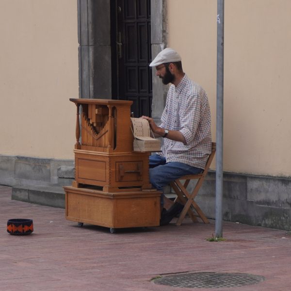 ZAMOŚĆ    26.07.2025 - obrazek 14
