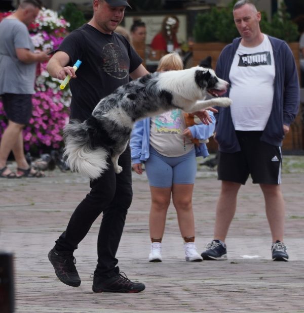 ZAMOŚĆ    26.07.2025 - obrazek 44