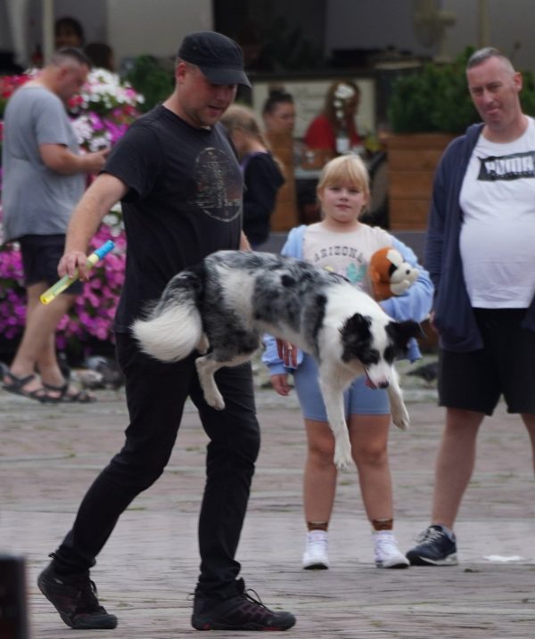 ZAMOŚĆ    26.07.2025 - obrazek 45