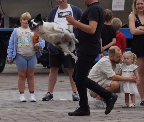 ZAMOŚĆ    26.07.2025 - obrazek 46