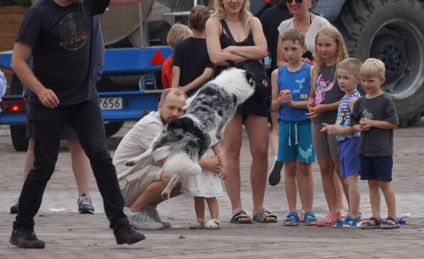 ZAMOŚĆ    26.07.2025 - obrazek 47