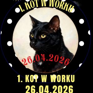 1 KOT W WORKU 26.04.2026